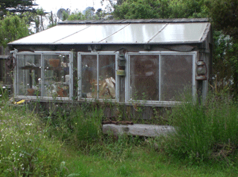 Rustic Greenhouse